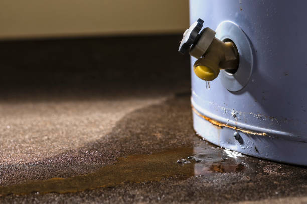 Trusted Cedar Bluff, VA Water damage restoration Experts