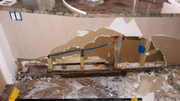 Best Flooded house restoration  in Cedar Bluff, VA