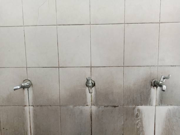 Best Water damage restoration mold remediation  in Cedar Bluff, VA